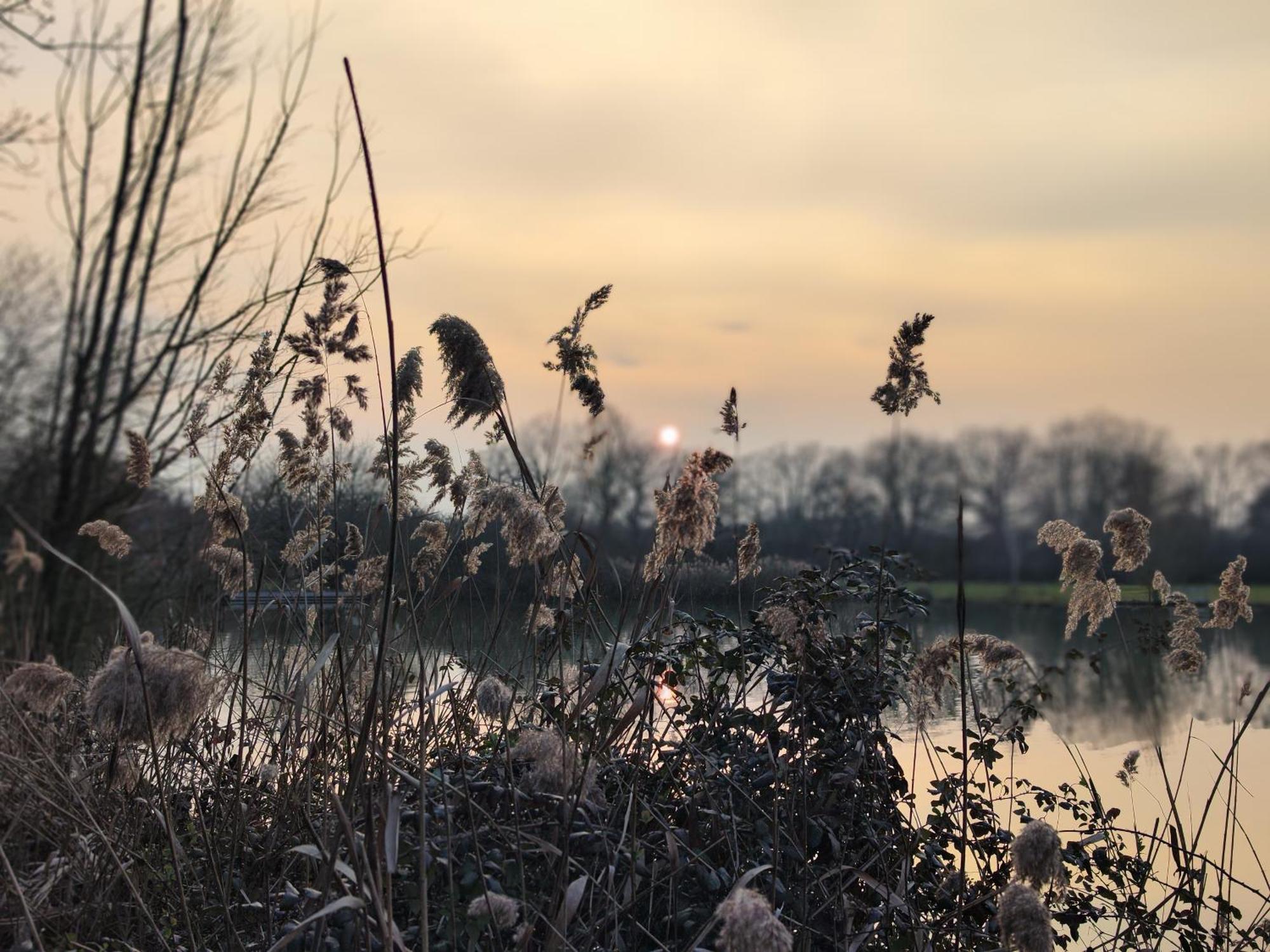 Domaine De La Roseliere • Nature • Brenne Rosnay  Luaran gambar
